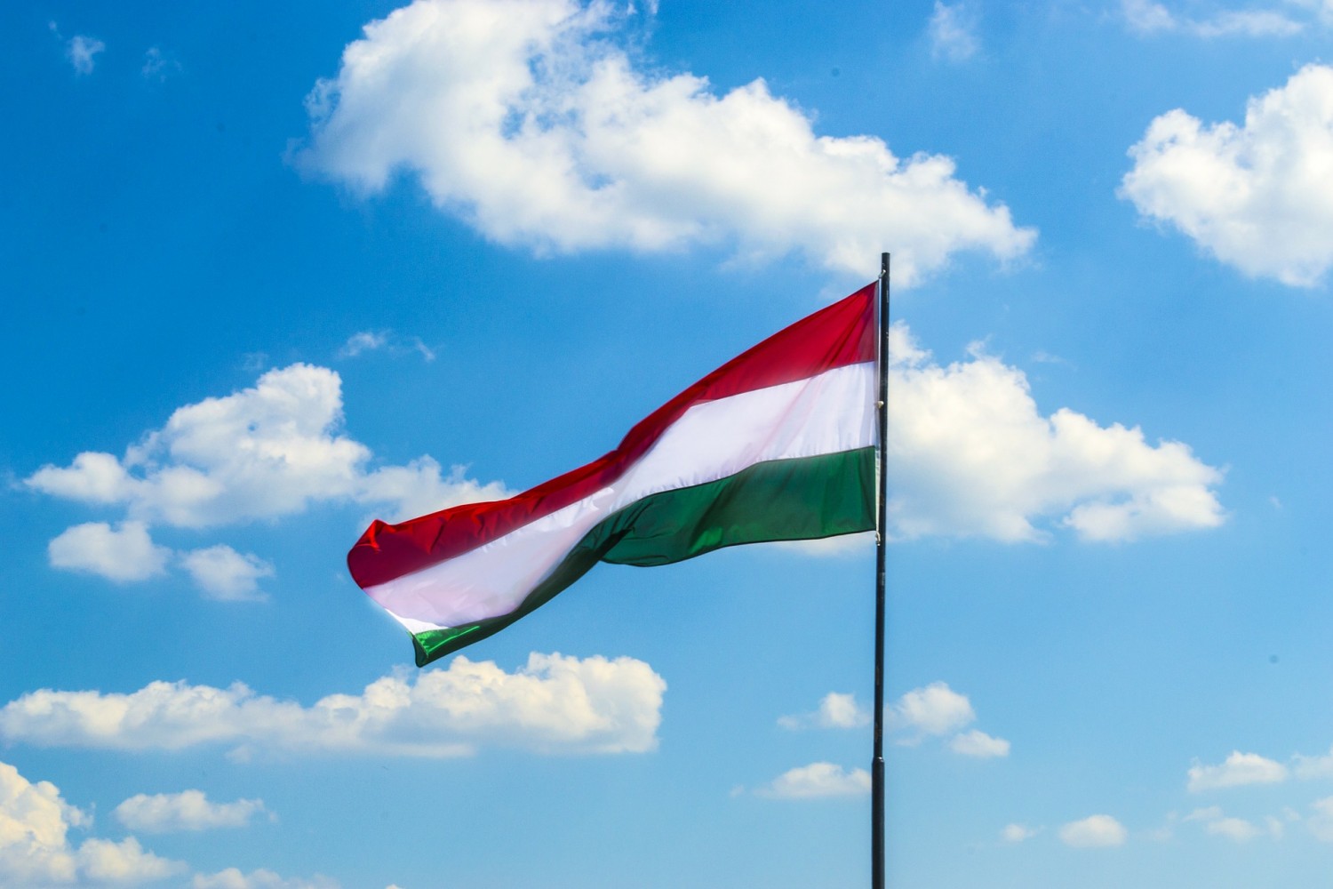 Magyarország 365