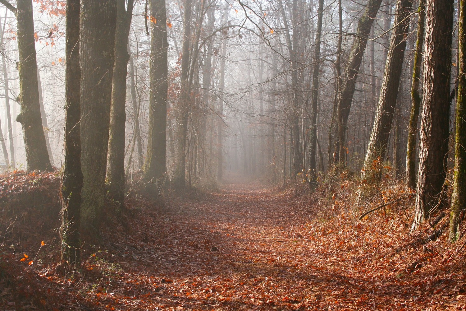 Látszik a vége