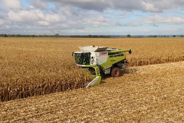Történelmi rekord Magyarországon: 8,3 millió tonna kukorica termett