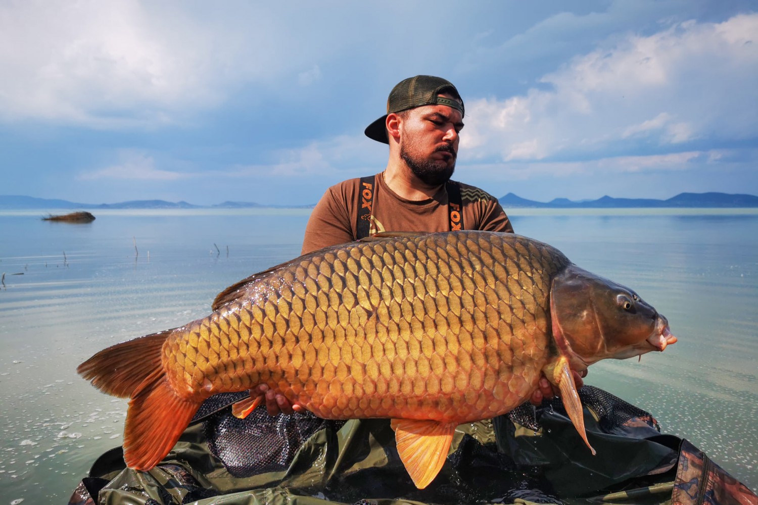 Horogra akadt az idei első kolosszális ponty a Balatonban 