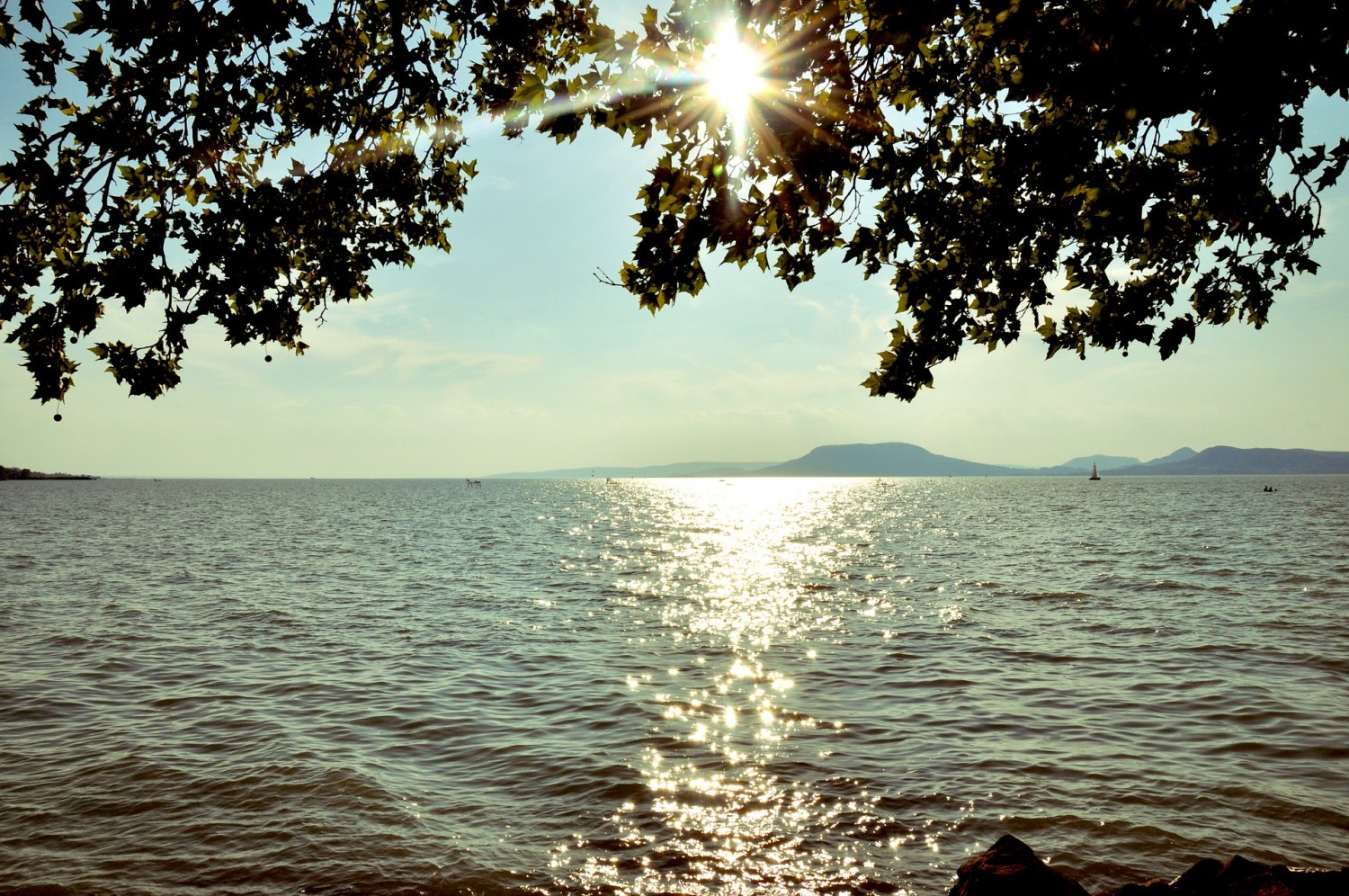 Algásodást figyeltek meg a Balatonnál