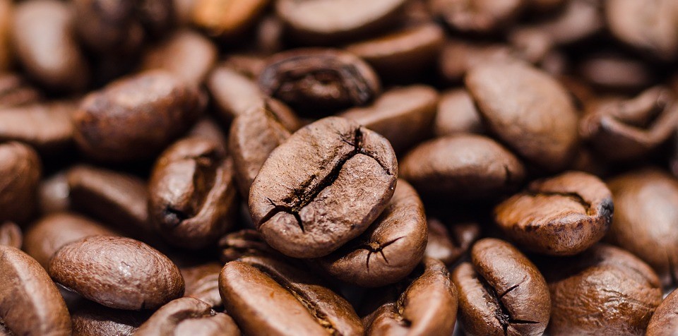 202109291623_coffee-beans-917613_960_720.jpg (960×476)