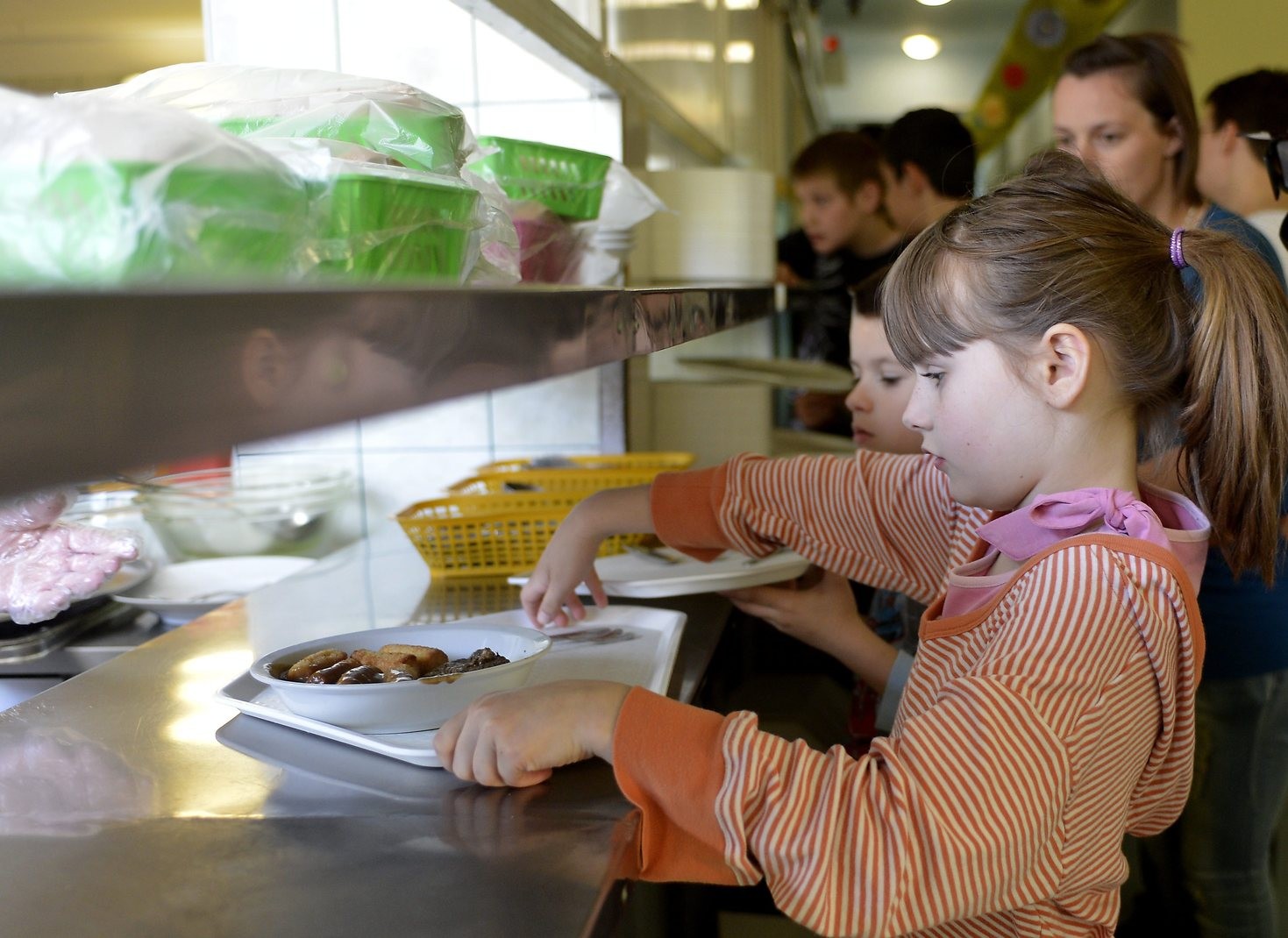 Minden egy helyen a közétkeztetésről