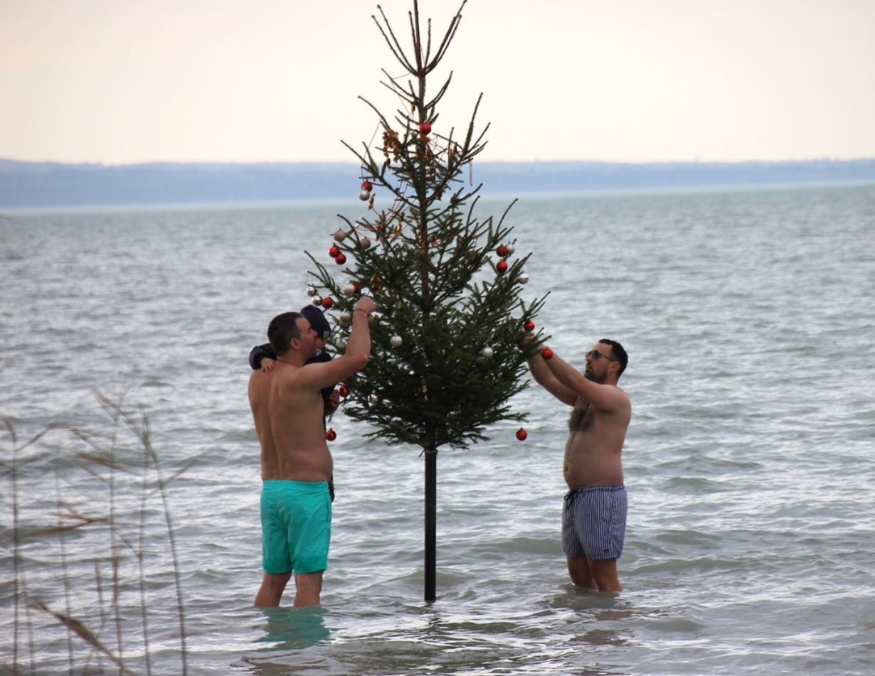 Karácsonyfa a Balatonban