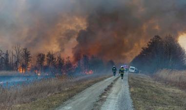 Több száz hektáron égett a nádas a Kis-Balatonnál