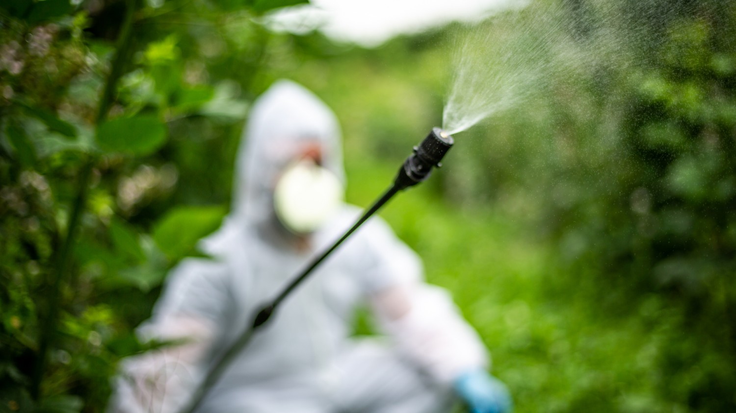 Illegális növényvédő szerekkel kereskedőkre csaptak le 31 országban