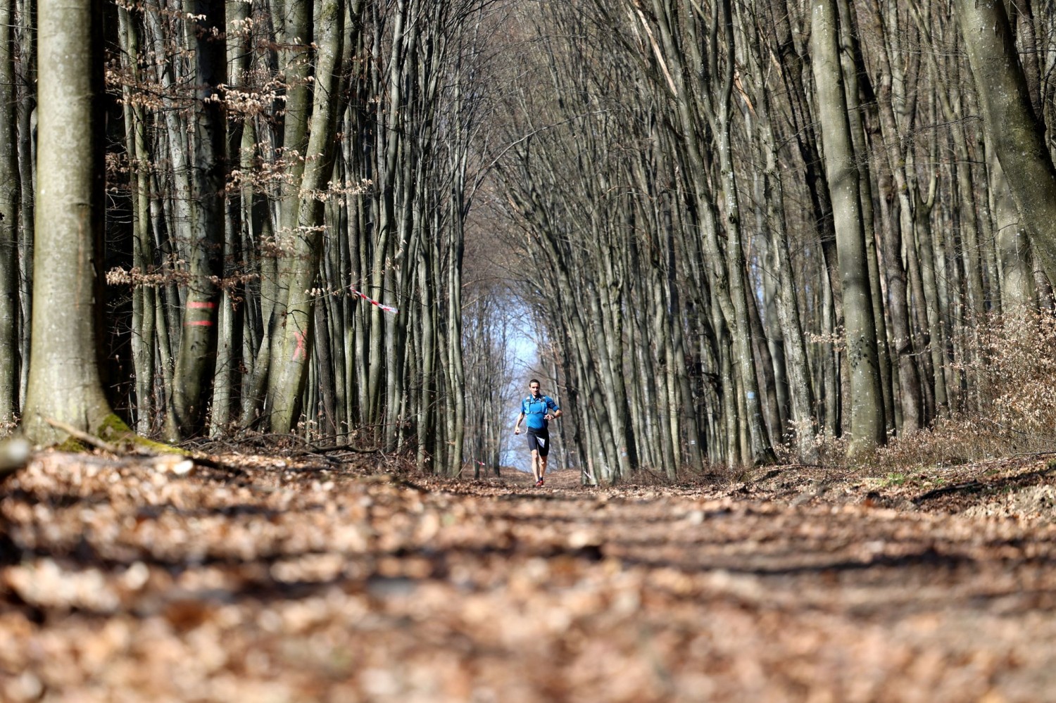 II. Kékfűrész trail ultrafutó verseny