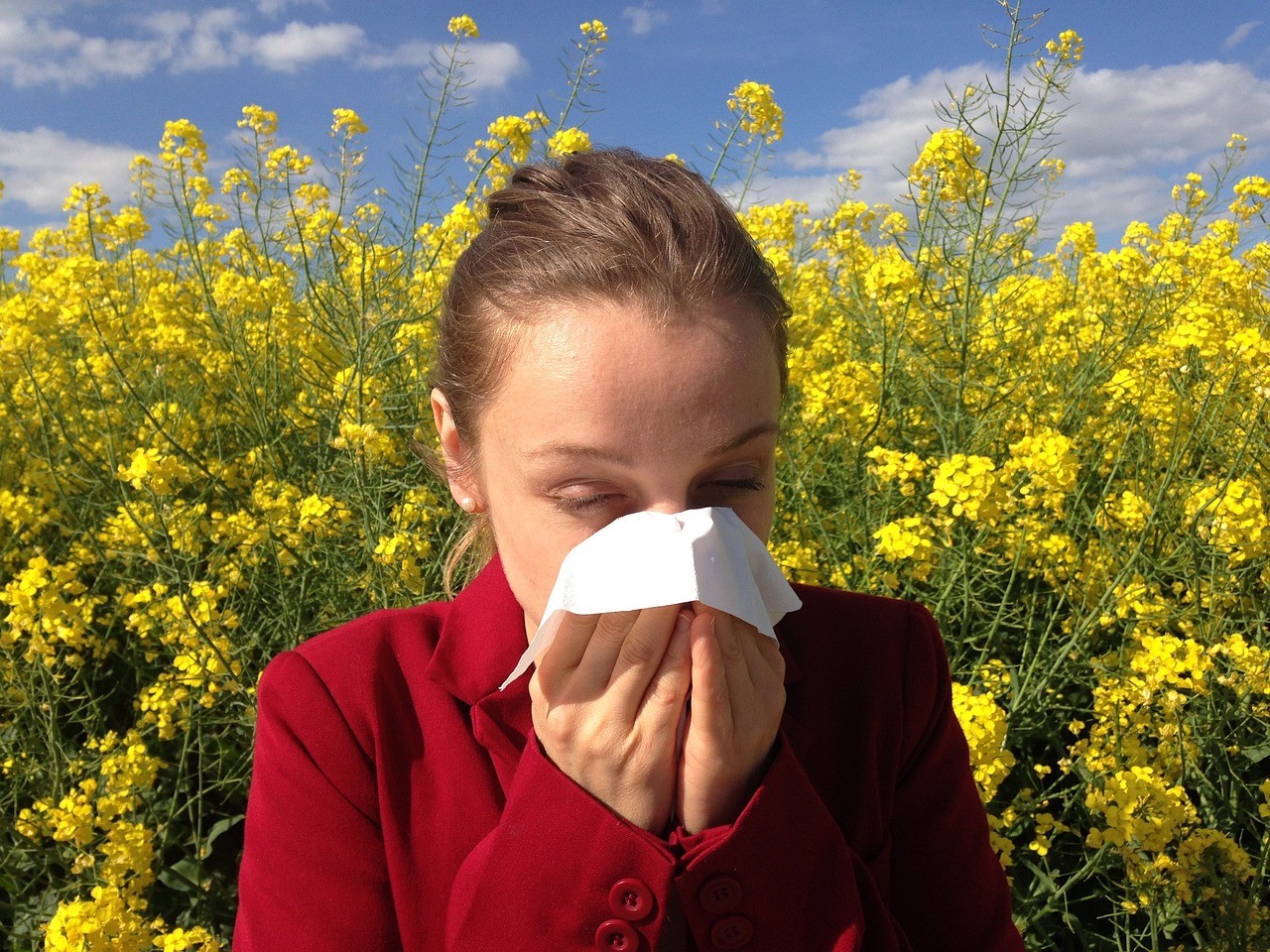 A pázsitfűfélék miatt szenvednek az allergiások